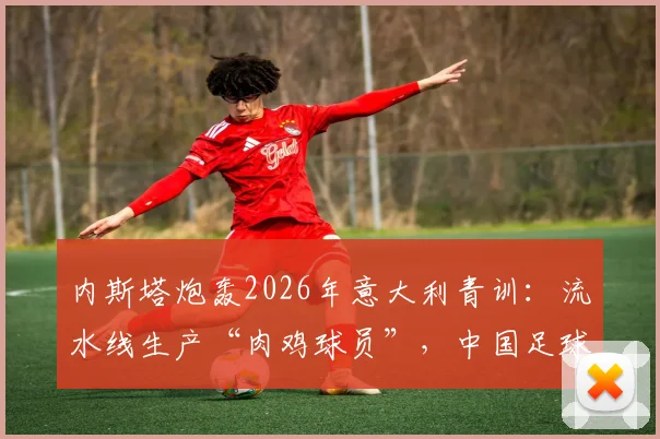 内斯塔炮轰2026年意大利青训:流水线生产“肉鸡球员”,中国足球该如何避免重蹈覆辙?