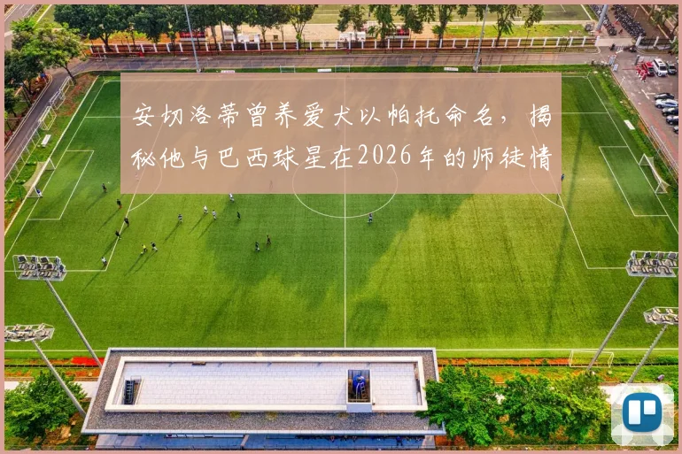 安切洛蒂曾养爱犬以帕托命名，揭秘他与巴西球星在2026年的师徒情谊与场内场外真实关系